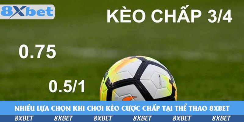 Nhiều lựa chọn khi chơi kèo cược chấp tại thể thao 8xbet