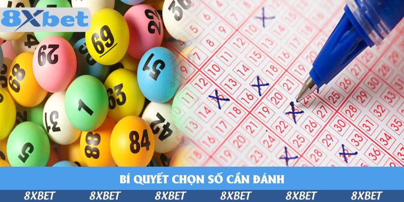 Bí quyết chọn số cần đánh